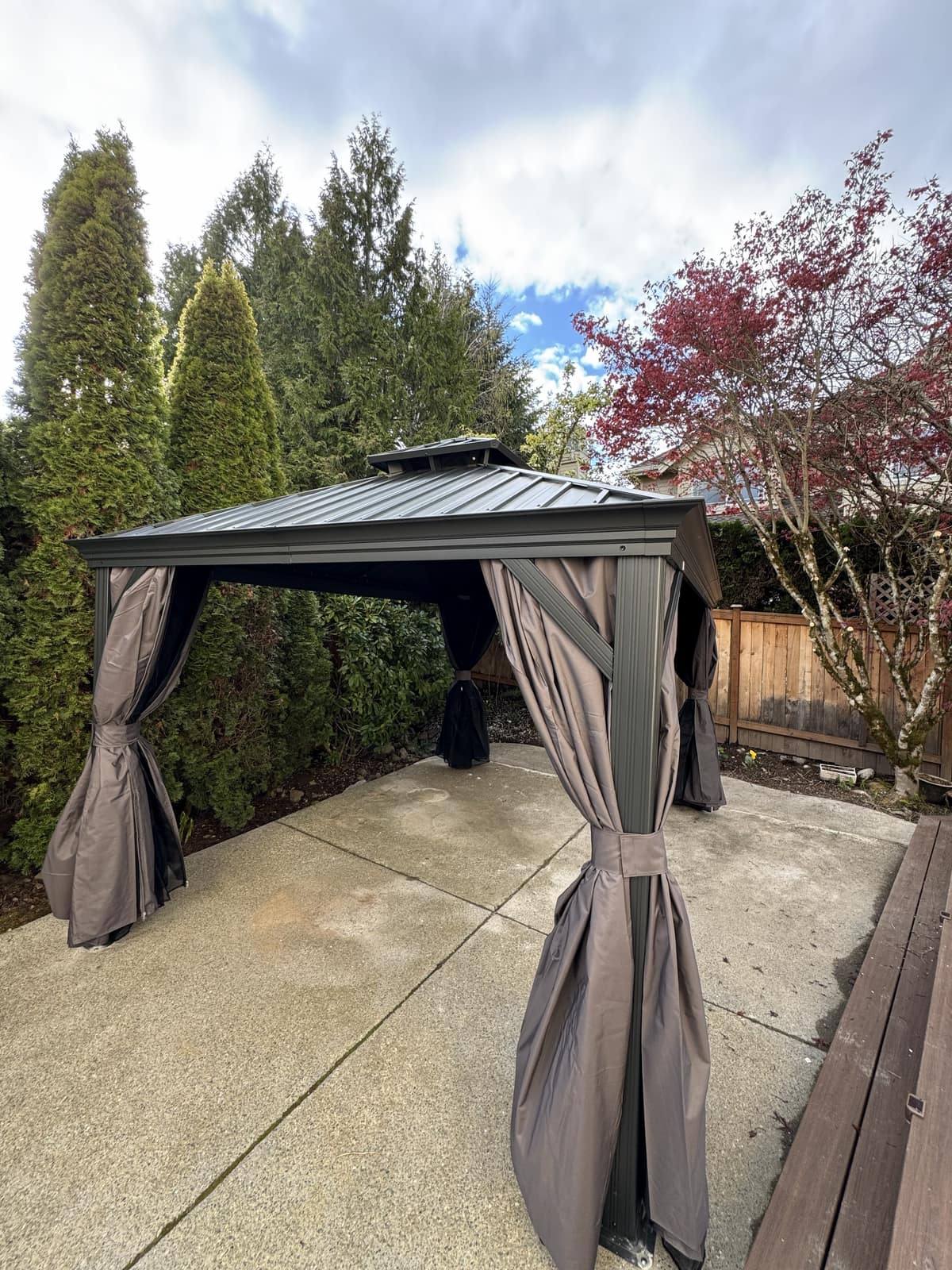 Black metal hardtop gazebo with curtains beside a red maple tree